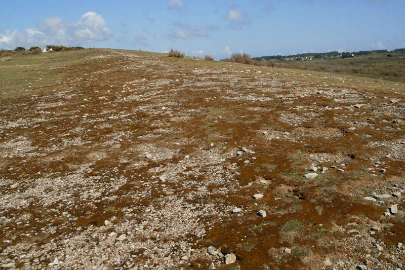 Zone seche calcaire