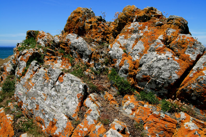 Rochers lichens Trefuntec