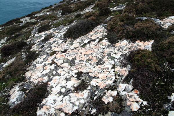 Rochers roses